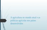 A Agricultura No Mundo Atual e as Políticas