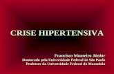 CRISE HIPERTENSIVA Francisco Monteiro Júnior Doutorado pela Universidade Federal de São Paulo Professor da Universidade Federal do Maranhão.