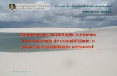 Grupo de Contabilidade Ambiental e Relatórios Sociais Aracéli Cristina de S. Ferreira Globalização da poluição e normas internacionais de contabilidade:
