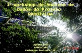 1 o Workshop de Análise de Dados do Projeto RACCI/LBA Agosto,2003 CPTEC/INPE Cachoeira Paulista, SP.