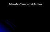 Metabolismo oxidativo. SISTEMA ENERGÉTICO Sistema oxidativo é o final da produção de energia celular. Trata-se do sistema mais complexo dentre os três.