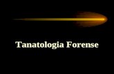 Tanatologia Forense. TANATOLOGIA FORENSE Cessação irreversível das funções vitais: circulatórias respiratórias digestivas excretoras VIABILIZAÇÃO DOS.