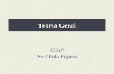 Teoria Geral CEAP Prof.ª Erika Figueira. 1. Atividade financeira do Estado: A existência de um Estado está condicionada a atingir determinados fins, que.