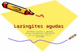 Laringites agudas Residente Luciana S. Machado Serviço de pediatria HRAS/SES/DF  18/9/2009.