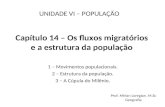 Capítulo 14 – Os fluxos migratórios e a estrutura da população 1 – Movimentos populacionais. 2 – Estrutura da população. 3 – A Cúpula do Milênio. UNIDADE.