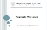 Universidade Estadual de São Paulo Escola de Engenharia de Lorena Prof. Arnaldo Marcio Ramalho Prata Respiração Microbiana.