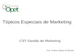 Tópicos Especiais de Marketing CST Gestão de Marketing Prof. António Albano B Moreira.