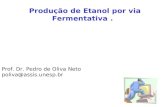 Produção de Etanol por via Fermentativa. Prof. Dr. Pedro de Oliva Neto poliva@assis.unesp.br.