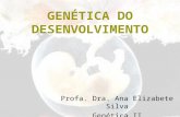GENÉTICA DO DESENVOLVIMENTO Profa. Dra. Ana Elizabete Silva Genética II.