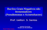 Bacilos Gram Negativos não fermentadores (Pseudomonas e Acinetobacter) Instituto Formação Diciplina de Microbilologia Prof. Ueliton S. Santos Prof. Ueliton.