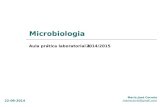 Microbiologia Aula prática laboratorial 1 Maria José Correia mariacorrei@gmail.com 2014/2015 22-09-2014.