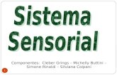 Componentes: Cleber Grings – Michelly Buttini – Simone Rinaldi – Silviana Colpani 1.