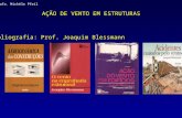 AÇÃO DE VENTO EM ESTRUTURAS Bibliografia: Prof. Joaquim Blessmann Profa. Michèle Pfeil.