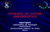 PATOLOGIA DO SISTEMA HEMATOPOIÉTICO Rafael Fighera Laboratório de Patologia Veterinária Universidade Federal de Santa Maria.