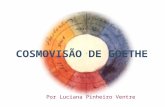 Por Luciana Pinheiro Ventre. Muito além de famoso escritor, foi cientista. Desenvolveu novas formas de observação dos fenômenos. “Muitas soluções aos.