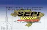 Sistema de informação gerencial e gestão estratégica na empresa Prof Paulo Germano.