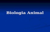 Biologia Animal. A Zoologia (zoon=animal; logos=estudo), estuda o Reino Animal, também denominado Metazoa ou Animallia. Neste reino, estão classificados.