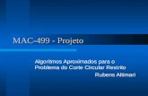 MAC-499 - Projeto Algoritmos Aproximados para o Problema do Corte Circular Restrito Rubens Altimari.