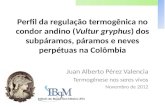 Perfil da regulação termogênica no condor andino (Vultur gryphus) dos subpáramos, páramos e neves perpétuas na Colômbia Juan Alberto Pérez Valencia Termogênese.