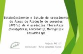 Estabelecimento e Estudo do crescimento de Áreas de Produção de sementes (APS’s) de 4 essências florestais (Eucalyptus sp, Leucaena sp, Moringa sp e Casuarina.