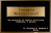 Bases da Terapia Nutricional M. Cristina G. Barbosa e Silva 2006 PÓS-GRADUAÇÃO EM TERAPIA NUTRICIONAL PARENTERAL E ENTERAL.