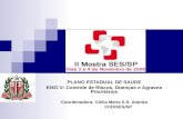 PLANO ESTADUAL DE SAÚDE EIXO V: Controle de Riscos, Doenças e Agravos Prioritários Coordenadora: Clélia Maria S.S. Aranda CCD/SES/SP.