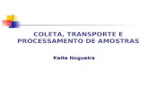 COLETA, TRANSPORTE E PROCESSAMENTO DE AMOSTRAS Keite Nogueira.