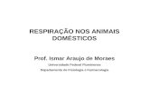 RESPIRAÇÃO NOS ANIMAIS DOMÉSTICOS Prof. Ismar Araujo de Moraes Universidade Federal Fluminense Departamento de Fisiologia e Farmacologia.