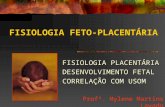 FISIOLOGIA FETO-PLACENTÁRIA FISIOLOGIA PLACENTÁRIA DESENVOLVIMENTO FETAL CORRELAÇÃO COM USOM Profª. Mylene Martins Lavado.