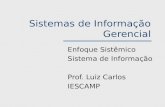Sistemas de Informação Gerencial Enfoque Sistêmico Sistema de Informação Prof. Luiz Carlos IESCAMP.