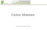Ciclos Motores Prof. Matheus Fontanelle Pereira. Ciclo de Carnot O ciclo de Carnot é caracterizado por 4 processos reversíveis: 2 processos adiabáticos.