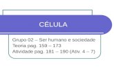 CÉLULA Grupo 02 – Ser humano e sociedade Teoria pag. 159 – 173 Atividade pag. 181 – 190 (Ativ. 4 – 7)