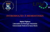 INTRODUÇÃO À HEMOSTASIA Rafael Fighera Laboratório de Patologia Veterinária Universidade Federal de Santa Maria.
