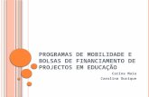 P ROGRAMAS DE MOBILIDADE E BOLSAS DE FINANCIAMENTO DE PROJECTOS EM EDUCAÇÃO Carina Maia Carolina Ourique.