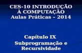 CES-10 INTRODUÇÃO À COMPUTAÇÃO Aulas Práticas – 2014 Capítulo IX Subprogramação e Recursividade.