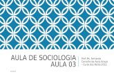 AULA DE SOCIOLOGIA AULA 03 Prof. Ms. Fernando Carvalho de Assis Araujo – Curso dos Nerds 2015 20/4/2015.