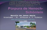 Marcella dos Santos Amorim Orientador : Dr. Jefferson A. P. Pinheiro  4/11/2009 Monografia apresentada ao Supervisor do Programa.