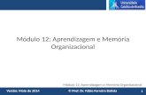 Módulo 12: Aprendizagem e Memória Organizacional Versão: Maio de 2014 © Prof. Dr. Fábio Ferreira Batista Módulo 12: Aprendizagem e Memória Organizacional.