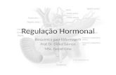 Regulação Hormonal Bioquímica para Enfermagem Prof. Dr. Didier Salmon MSc. Daniel Lima.