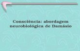 Consciência: abordagem neurobiológica de Damásio.