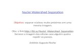 Nuclei Watershed Separation Objetivo: separar núcleos muito próximos em uma mesma imagem. Obs: o link  fornece.