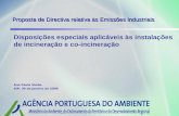 1 Proposta de Directiva relativa às Emissões Industriais Ana Paula Simão AIP, 30 de Janeiro de 2009 Disposições especiais aplicáveis às instalações de.