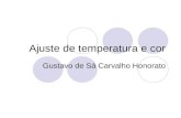 Ajuste de temperatura e cor Gustavo de Sá Carvalho Honorato.