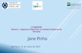 VI ENASERV Painel 3 – Aspectos Tributários no Comércio Exterior de Serviços São Paulo, 31 de março de 2015 Jane Pinho.