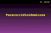 Paracoccidioidomicose UFF - HUAP/DIP. É uma micose profunda, infecciosa, não contagiosa, causada pelo fungo Parcoccidioidomices brasiliensis. Sinônimo: