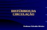 DISTÚRBIOS DA CIRCULAÇÃO Professor Edvaldo Silveira.