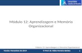 Módulo 12: Aprendizagem e Memória Organizacional Versão: Novembro de 2014 © Prof. Dr. Fábio Ferreira Batista Módulo 12: Aprendizagem e Memória Organizacional.