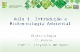 Aula 1. Introdução a Biotecnologia Ambiental Biotecnologia 3º Módulo Prof.ª Chayane C.de Souza.