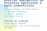 Análise Emergética de Projetos Agrícolas e Agro-industriais Enrique Ortega 1 & Paulo Beskow 2 (1) Unicamp (Campinas) (2) UFSCar (Araras) São Paulo, Brasil.