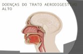 DOENÇAS DO TRATO AERODIGESTIVO ALTO. Hugo Tadeu Metidieri.